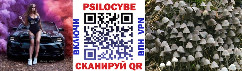 Галлюциногенные грибы мицелий  omg как войти  Краснотурьинск 